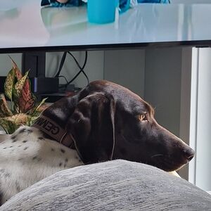 Meet your Posher, C.